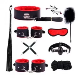 Kit Bondage BDSM Esposas Inmovilizadores de Tobillos y Manos, Antifaz, Latigo de Cuero, Cuerda, Mordaza, Pinzas para Pezones y Cosquillador de Plumas - ER1008 para Juegos Sado de Dominación  ER109304